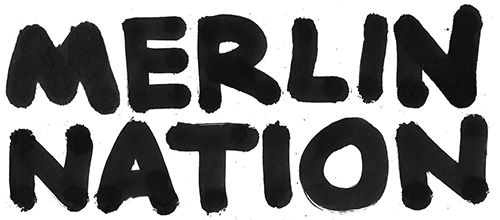 Merlin Nation Art
